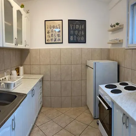 Apartament Ana Milena *